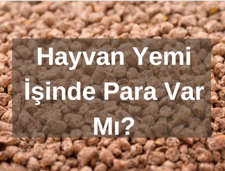 Hayvan Yemi İşinde Para Var Mı?